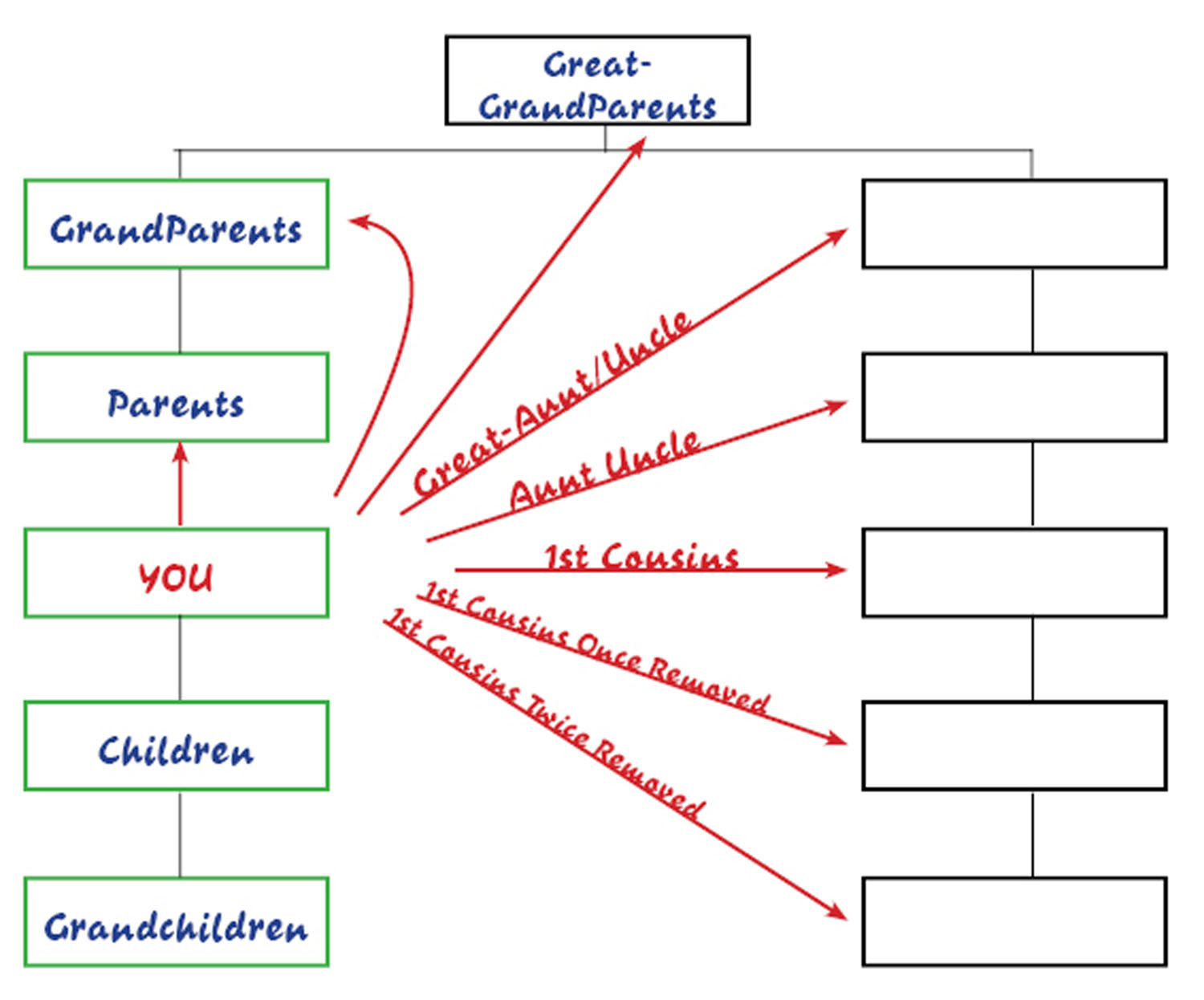 basicfamilytree-levels.jpg