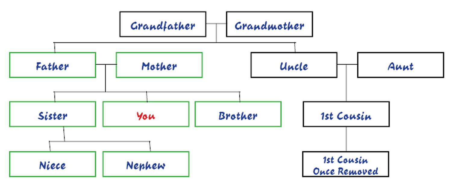 Family Tree Template Family Tree Template Including Siblings And Cousins