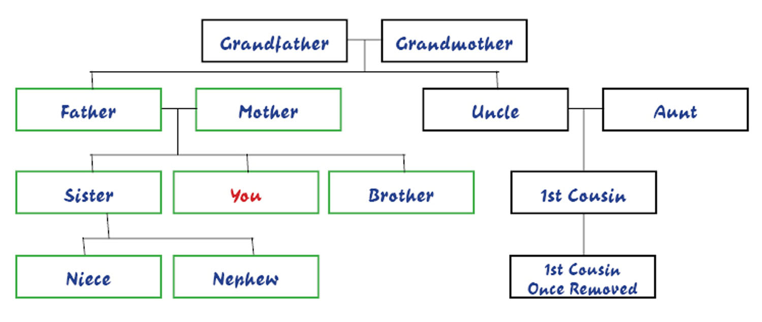 family tree template with siblings aunts uncles cousins